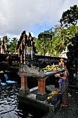 Pura Tirta Empul - Bali. The bathing pool with the water with healing power. Offerings.