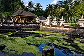 Pura Tirta Empul - Bali. The Sacred Lake.