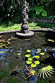 Tirtagangga, Bali - The small Saraswati pond with the stone statue of the goddess. 