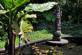 Tirtagangga, Bali - The small Saraswati pond with the stone statue of the goddess. 