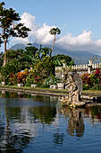 Tirtagangga, Bali - The south pond.