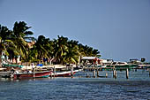 Caye Caulker - The shoreline.
