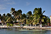 Caye Caulker - The shoreline.