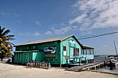 Caye Caulker - The shoreline.