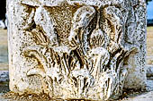 Zara, i resti dell'antico foro romano