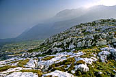 Parco del Brenta. I lastroni carsici che caratterizzano il paesaggio degli Orti della Regina.