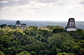 Tikal - Seen from the terrace of temple IV the roof combs of Temples I, II and III rise above the trees that nowadays surround the ruined city. 