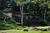 Tikal - Square of the Seven temples ruins among the tropical rainforest vegetation. 