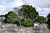 Tikal - 