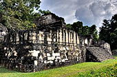 Tikal - Central Acropolis, the Great Jaguar Claw's Palace. 
