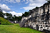 Tikal - Central Acropolis, the Great Jaguar Claw's Palace. 
