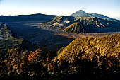 Bromo - the Pananjakan view point. The view embraces the immense caldera with the cones of Bromo, Batok and Kursi with the cone of Mt. Semeru in the distance.