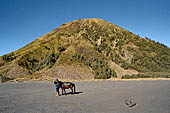 Bromo - Mount Batok a dormant volcano rises from the Sea of Sands.