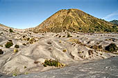 Bromo - Mount Batok a dormant volcano rises from the Sea of Sands.