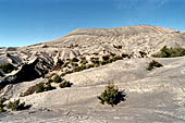 Mount Bromo, the 'Sea of Sand' at the bottom of the immense caldera.
