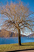 Lago di Lugano - Il lungo lago di Melide.
