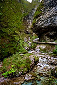 Orobie Bergamasche. Il torrente Vertova. 