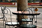Merida - the Plaza Principal called also the Zocalo. 