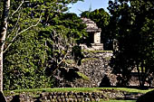 Palenque - the North Group (Grupo Norte). 