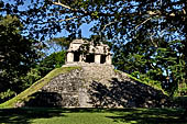 Palenque Stock pictures