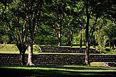 Palenque - The broad stairway which marks the northern side of the Great Plaza. 