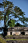 Palenque - the North Group (Grupo Norte). 