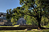 Palenque - The broad stairway which marks the northern side of the Great Plaza. 