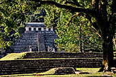 Palenque - The Temple of the Inscriptions 