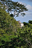 Palenque - The lush, deep forest where the ruins are immersed. 