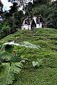 Palenque - Temple of the Foliated Cross (Templo de la Cruz Foliada). 