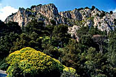 Capri - Vista verso il Monte Solaro