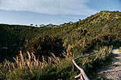 Campi Flegrei - Monte Nuovo il cono di una eruzione nel 1538.