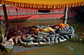 Budhanilkantha - statue of Sleeping Vishnu (Jalasayana Narayan) lay on the water.