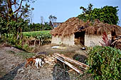 Chitwan - Village of Sauraha with the traditional country life of the Terai people.