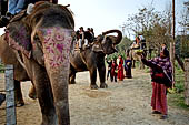 Chitwan - The elephants breeding centre.
