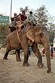 Chitwan - The elephants breeding centre.