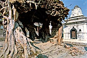 Nepal Stock pictures