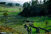 Rural landscape on the road that from Kathmandu goes to Nagarkot. 