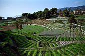 Rural landscape on the road that from Kathmandu goes to Nagarkot. 