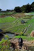Rural landscape on the road that from Kathmandu goes to Nagarkot. 