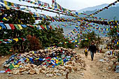 Pharping - The hill top is literally covered with thousands and thousands prayer flags. 