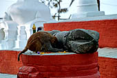 Swayambhunath Hill - Smaller stupa from the western entrance.