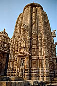Orissa - Bhubaneshwar, Ananta Vasudeva temple, the deul.