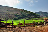 Orissa Koraput district - Rice fields near Ankadeli marketplace.