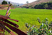 Orissa Koraput district - Rice fields near Ankadeli marketplace.
