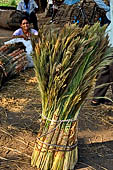 Orissa Rayagada district - the market of Chatikona. 