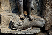 Hirapur - the Sixtyfour Yoginis Temple, detail of the mount of Ganga the Yogini n 58 (clockwise) a makara. 