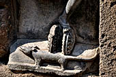 Hirapur - the Sixtyfour Yoginis Temple, detail of the mount of Yogini n° 42 (clockwise) two wheels and a mongoose. 