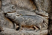 Hirapur - the Sixtyfour Yoginis Temple, detail of the pedestal of Yogini n 39 (clockwise) with a rat. 