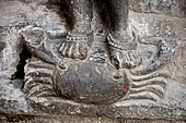Hirapur - the Sixtyfour Yoginis Temple, detail of the mount of Yogini n 33 (clockwise) a crab. 